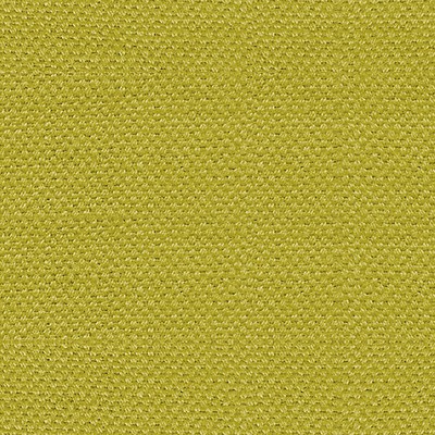 Scalamandre Scirocco Wide Ginko ASPEN III B8 00032785 Green Upholstery COTTON  Blend Solid Color Linen Fabric