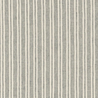 Scalamandre Bernia Charcoal ALTEA B8 0010BERN Grey Multipurpose RECYCLED  Blend Striped  Fabric