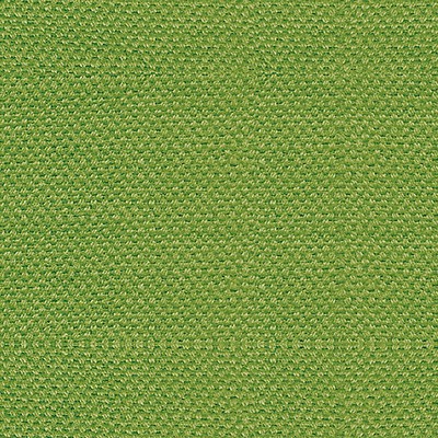 Scalamandre Scirocco Wide Tendril ASPEN III B8 00132785 Green Upholstery COTTON  Blend Solid Color Linen Fabric