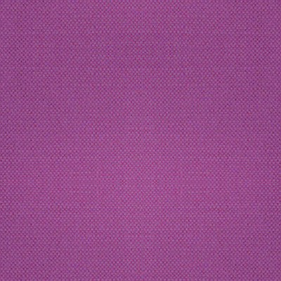 Scalamandre Aspen Brushed Wide Orchid ALHAMBRA BASICS B8 00191100 Purple Upholstery COTTON  Blend High Performance Solid Color Linen Fabric
