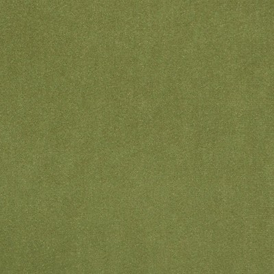 Scalamandre Jimena Moss Jimena B8 0023JIME Green Upholstery POLYESTER POLYESTER Solid Velvet  Fabric