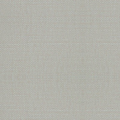 Scalamandre Aspen Brushed Wide Fennel ALHAMBRA BASICS B8 00261100 Upholstery COTTON  Blend High Performance Solid Color Linen Fabric