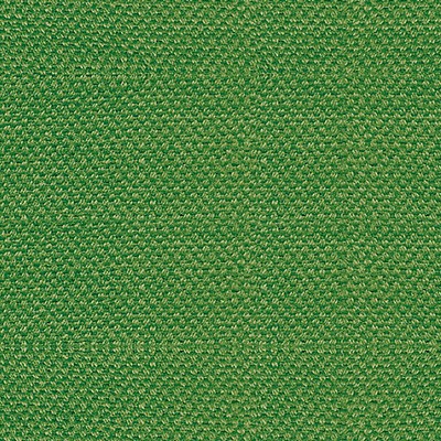 Scalamandre Scirocco Wide Lizard ASPEN III B8 00332785 Green Upholstery COTTON  Blend Solid Color Linen Fabric