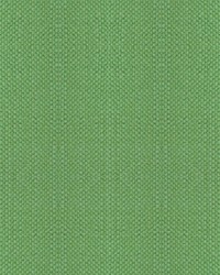 Aspen Brushed Apple Green by   