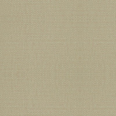 Scalamandre Aspen Brushed Wide Acid Gold ALHAMBRA BASICS B8 00361100 Green Upholstery COTTON  Blend High Performance Solid Color Linen Fabric