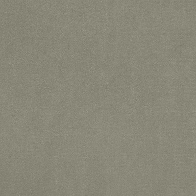 Scalamandre Jimena Stone Jimena B8 0046JIME Grey Upholstery POLYESTER POLYESTER Solid Velvet  Fabric