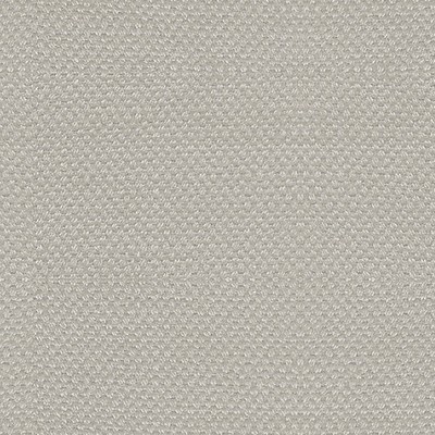 Scalamandre Scirocco Wide Barley ASPEN III B8 00552785 Beige Upholstery COTTON  Blend Solid Color Linen Fabric