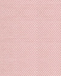 Scirocco Powder Pink by   