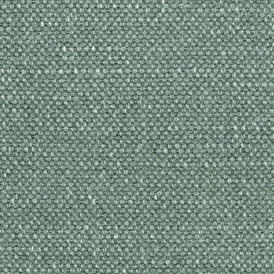 Scalamandre Aspen Brushed Wide Spruce ALHAMBRA BASICS B8 01501100 Green Upholstery COTTON  Blend High Performance Solid Color Linen Fabric
