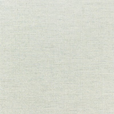 Scalamandre Thompson Chenille Mineral CALYPSO - CRYPTON HOME BK 0001K65114 Grey Upholstery COTTON  Blend Patterned Chenille  Fabric