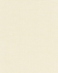 Berkshire Weave Ecru by  Scalamandre 