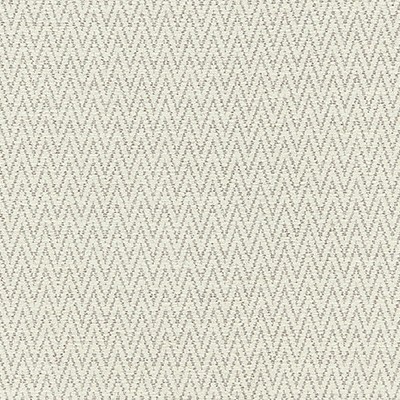 Scalamandre Chevron Chenille Birch CALYPSO - CRYPTON HOME BK 0001K65116 Beige Upholstery RAYON  Blend Patterned Chenille  Fabric