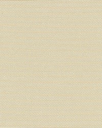 Cortland Weave Sand by  Scalamandre 