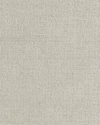 Spencer Chenille Ash by  Scalamandre 