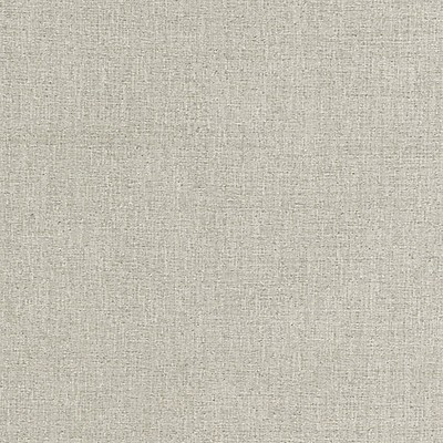 Scalamandre Spencer Chenille Ash CALYPSO - CRYPTON HOME BK 0003K65117 Grey Upholstery RAYON  Blend Patterned Chenille  Fabric