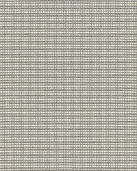 Cortland Weave Taupe by  Scalamandre 