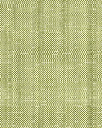 Chester Weave Leaf by  Scalamandre 