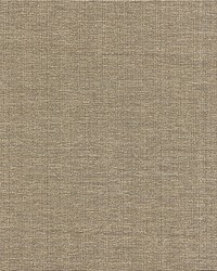 Thompson Chenille Taupe by   