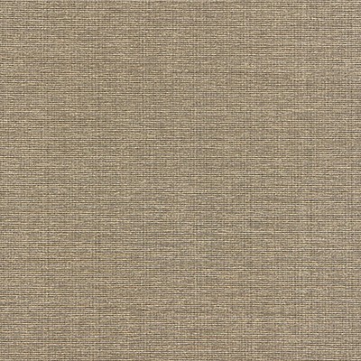 Scalamandre Thompson Chenille Taupe CALYPSO - CRYPTON HOME BK 0005K65114 Brown Upholstery COTTON  Blend Patterned Chenille  Fabric