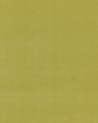Richmond Velvet Chartreuse by  Scalamandre 