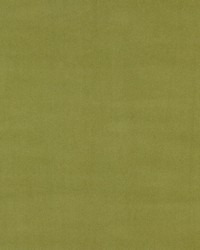 Richmond Velvet Sage by  Scalamandre 