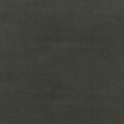 Scalamandre Richmond Velvet Charcoal CALYPSO - CRYPTON HOME BK 0012K65122 Grey Upholstery POLYESTER POLYESTER