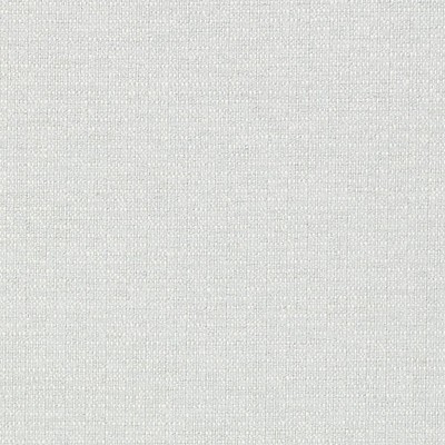 Old World Weavers Sugarloaf Shadow STARK WHITE BZ 00020508 Grey LINEN|24%  Blend Solid Color Linen Fabric