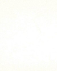 Atomic Fr Paper White by   