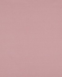 Atomic Fr Dusty Rose by   