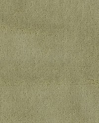 Apollodor Cucumber by   