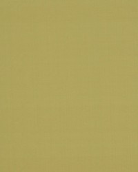 Jamila Ii Green Tea by   