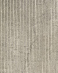 Velvet Stripe Steel by   