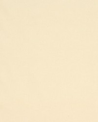 Jamila Ii Champagne by   