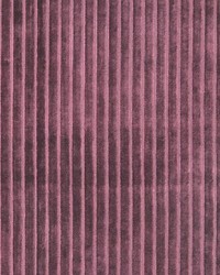 Velvet Stripe Wine by   