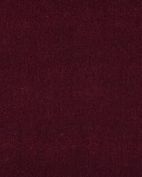 Apollodor Magenta by   