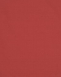 Jamila Ii Blossom by   