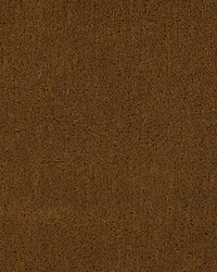 Apollodor Cinnamon by   