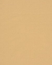 Jamila Ii Marzipan by   