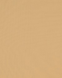 Madrid Cs Iv Buttercream by   