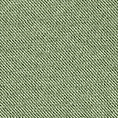 Scalamandre Kay Ii Asparagus URBAN LUXURY CH 01144450 Green Upholstery COTTON COTTON