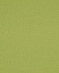 Madrid Cs Iv Lemon Grass by   