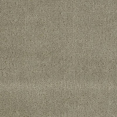 Scalamandre Apollodor Dewdrop URBAN LUXURY CH 01154300 Upholstery POLYESTER  Blend