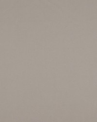 Atomic Fr Mushroom by   