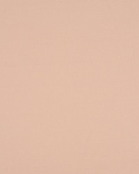 Atomic Fr Blossom by   