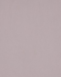 Sonatine Lavender by   