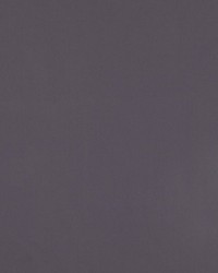 Atomic Fr Eggplant by   