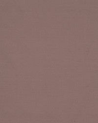 Jamila Ii Tea Rose by   