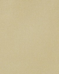 Aramena Creme Caramel by   