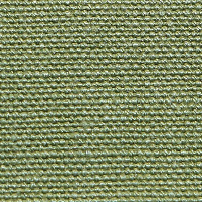 Scalamandre Focus Palm URBAN LUXURY CH 01243410 Green Upholstery LINEN  Blend