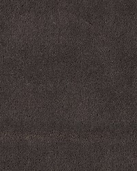 Apollodor Mushroom by   